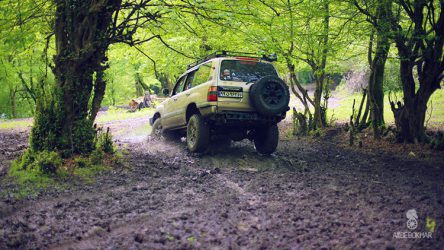 معرفی و بررسی 4WD و AWD