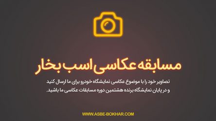مسابقه عکاسی اسب بخار – 08 (نظرسنجی)