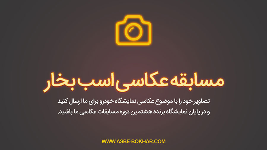مسابقه عکاسی اسب بخار - 08