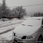 مسابقه عکاسی اسب بخار - 02