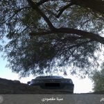مسابقه عکاسی اسب بخار - 02