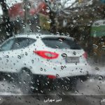 مسابقه عکاسی اسب بخار - 03