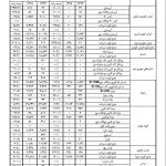 گزارش جزئیات تولید خودرو در سال 95