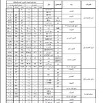گزارش جزئیات تولید خودرو در سال 95