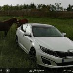 مسابقه عکاسی اسب بخار - 04