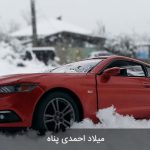 مسابقه عکاسی اسب بخار - 04
