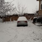 مسابقه عکاسی اسب بخار - 04