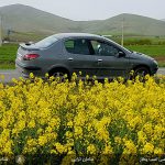 مسابقه عکاسی اسب بخار - 05
