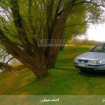 مسابقه عکاسی اسب بخار - 07