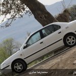 مسابقه عکاسی اسب بخار - 10