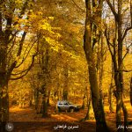 مسابقه عکاسی اسب بخار - 10