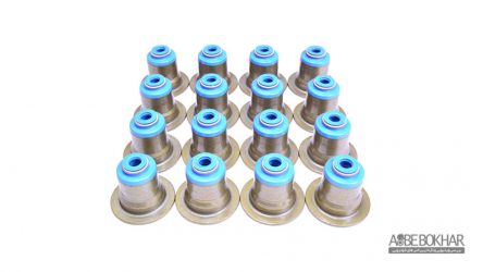 خروج دود از اگزوز خودرو چه دلایلی دارد؟