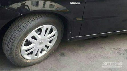 با دناهای جدید آشنا شوید! + تصاویر