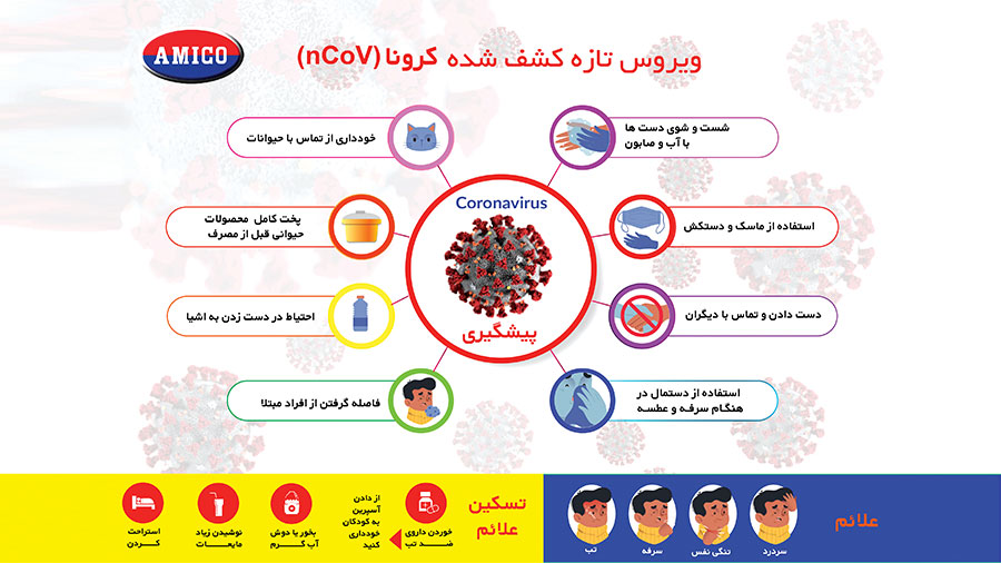 آمیکو
