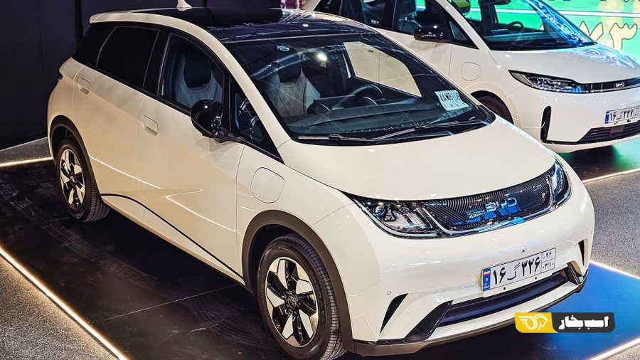 بی وای دی دلفین