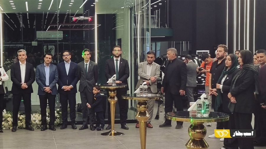 نمایندگی لاماری
