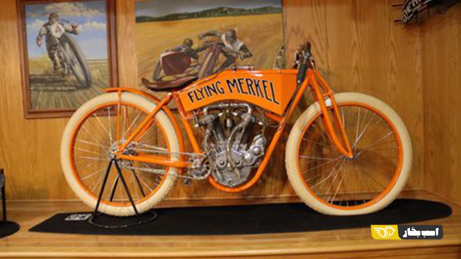 Flying Merkel