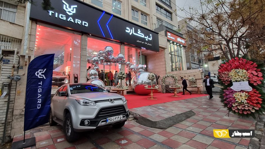 نمایندگی ۱۱۱۳ تیگارد موتور