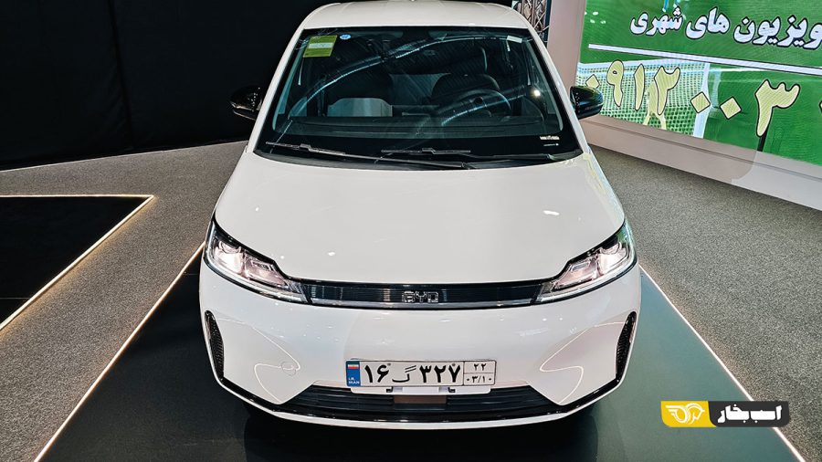 بی وای دی دی وان - BYD D1