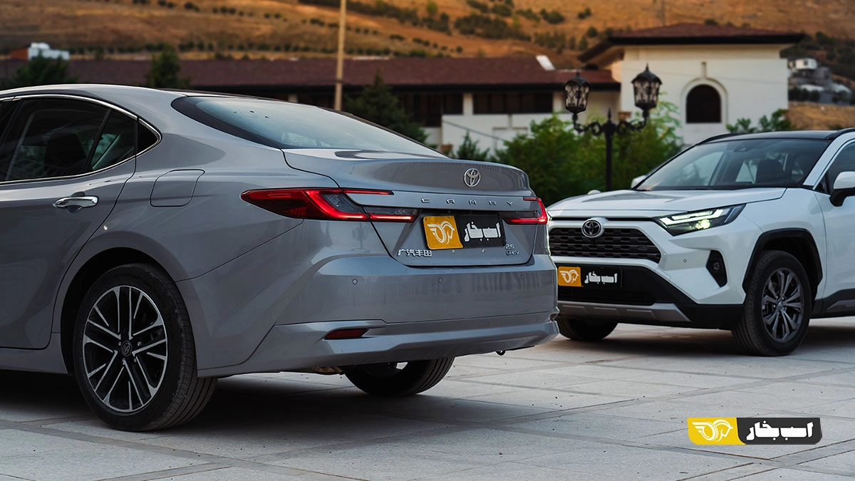 تست بررسی کمری