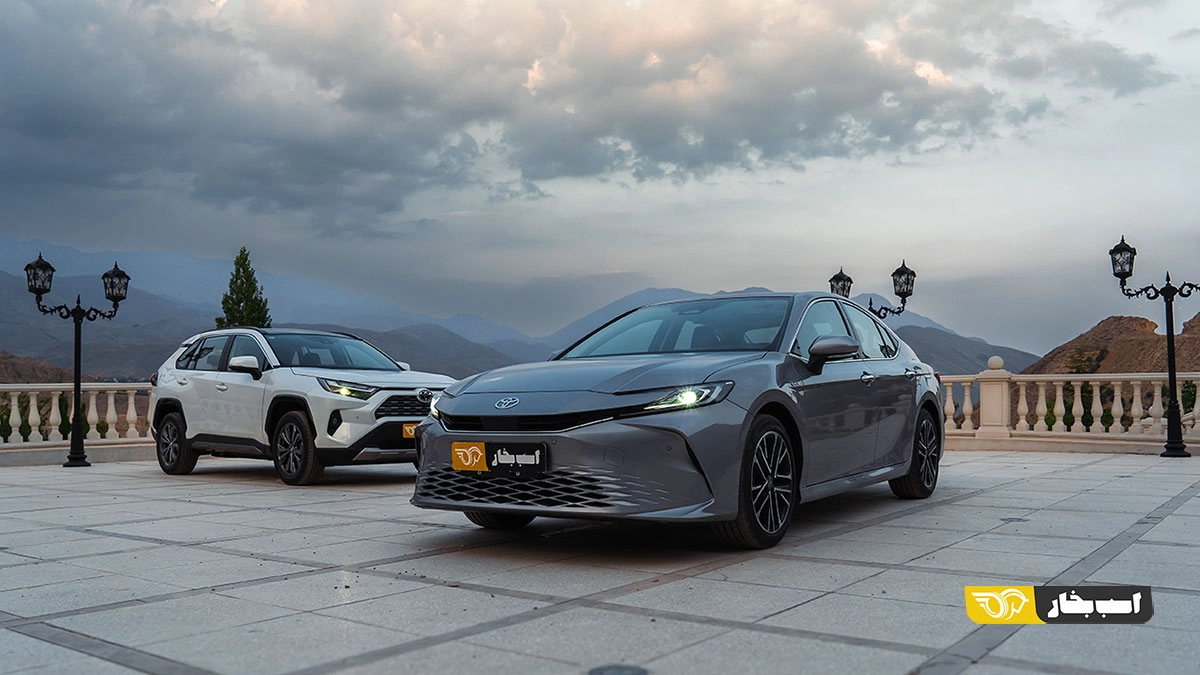 تست بررسی کمری