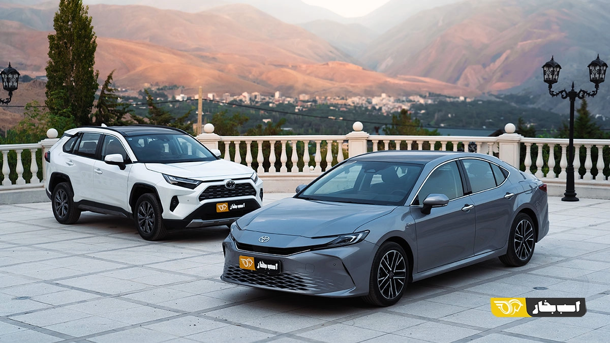 تست بررسی کمری راو 4