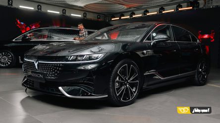 وویا پشن چه ویژگی‌هایی دارد؟