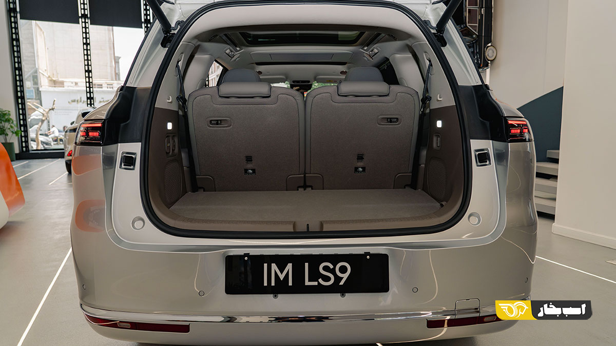 آی ام LS9