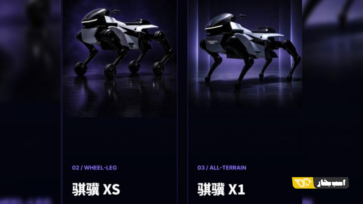 Qiji XS