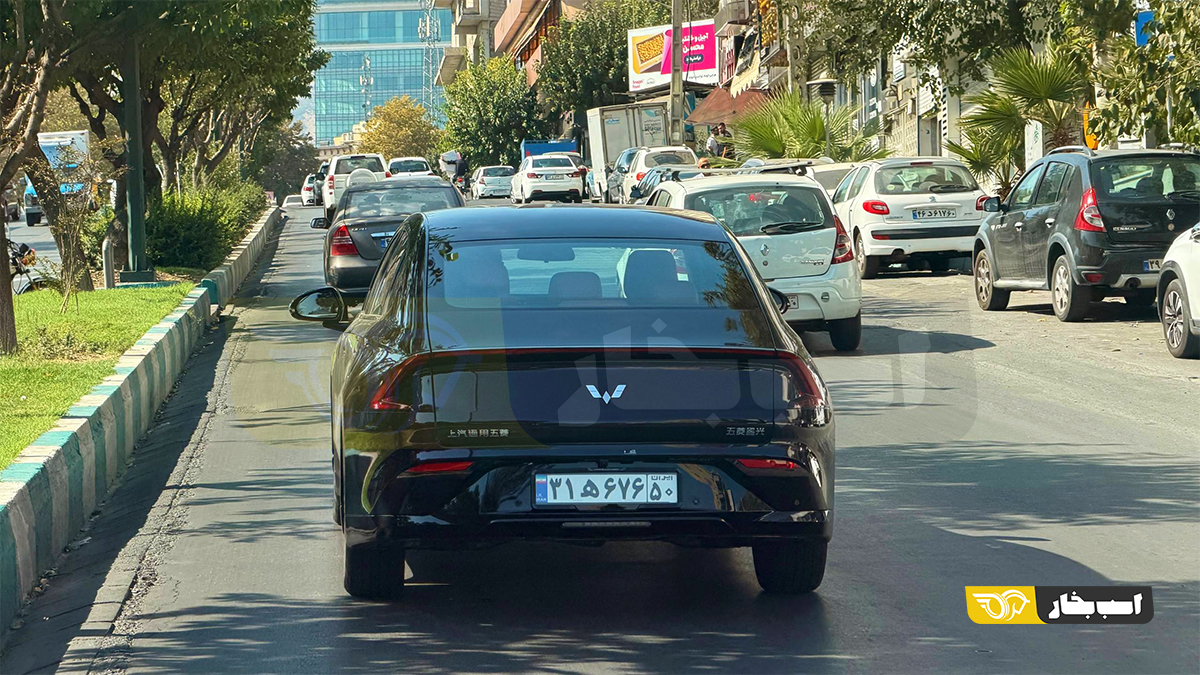 لینگ استارلای